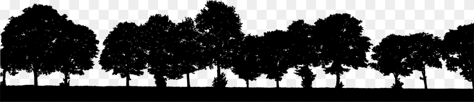 Pine Familyplantleaf Row Of Trees Silhouette Clipart, Gray Png Image