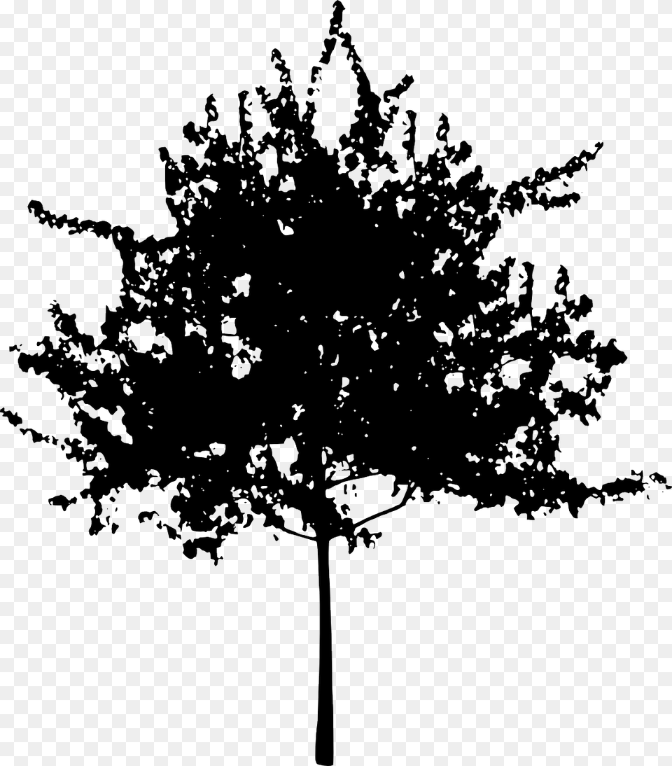 Pine Familyplantleaf Small Tree Silhouette, Plant, Leaf, Chandelier, Lamp Png
