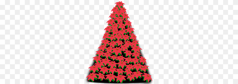 Pine Fir Christmas Tree Spruce, Plant, Christmas Decorations, Festival, Christmas Tree Png