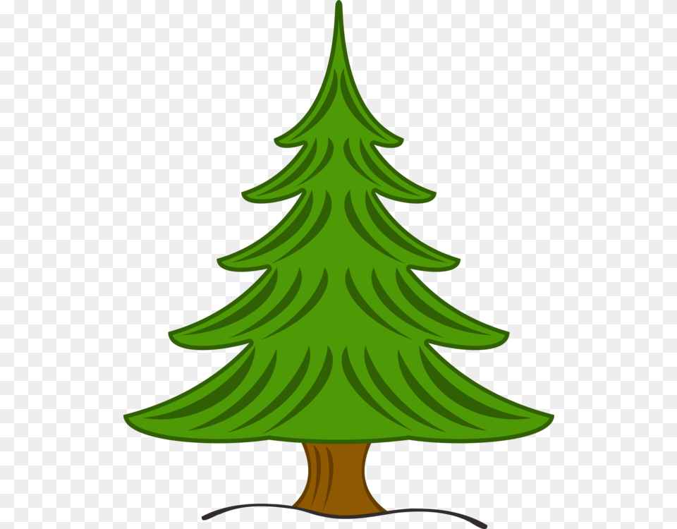 Pine Fir Christmas Tree Spruce, Plant, Green, Christmas Decorations, Festival Free Transparent Png