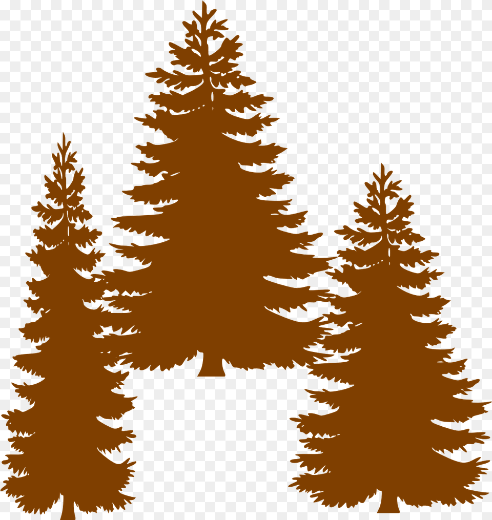 Pine Fir Tree Evergreen Clip Art Tall Pine Tree Silhouette Pine Line Tree Silhouette, Conifer, Plant, Face, Head Png Image