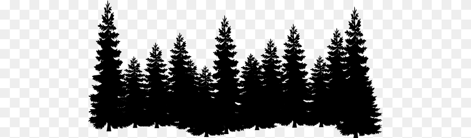 Pine Forest Clip Black And White Pine Trees Silhouette, Fir, Plant, Tree, Conifer Free Png Download
