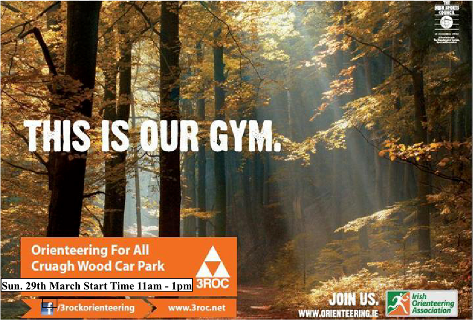 Pine Forest Poster This Is Our Gym 06mar2015 Woods Autumn, Woodland, Vegetation, Tree, Sunlight Free Png