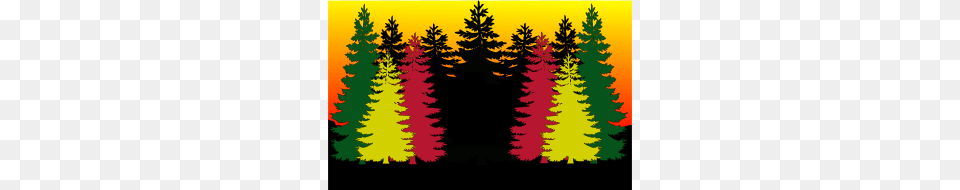 Pine Forest Sunset Clip Art, Plant, Tree, Conifer, Vegetation Free Png Download