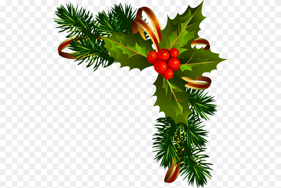 Pine Garland Clipart American Holly, Leaf, Conifer, Tree, Plant Free Png