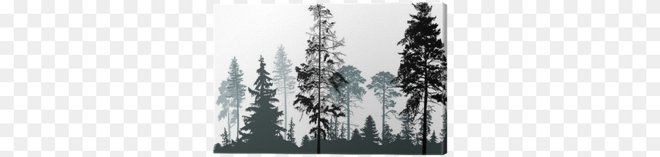 Pine Grey Forest Silhouettes Isolated On White Canvas Misty Pine Forest Silhouette, Fir, Plant, Tree, Conifer Free Transparent Png