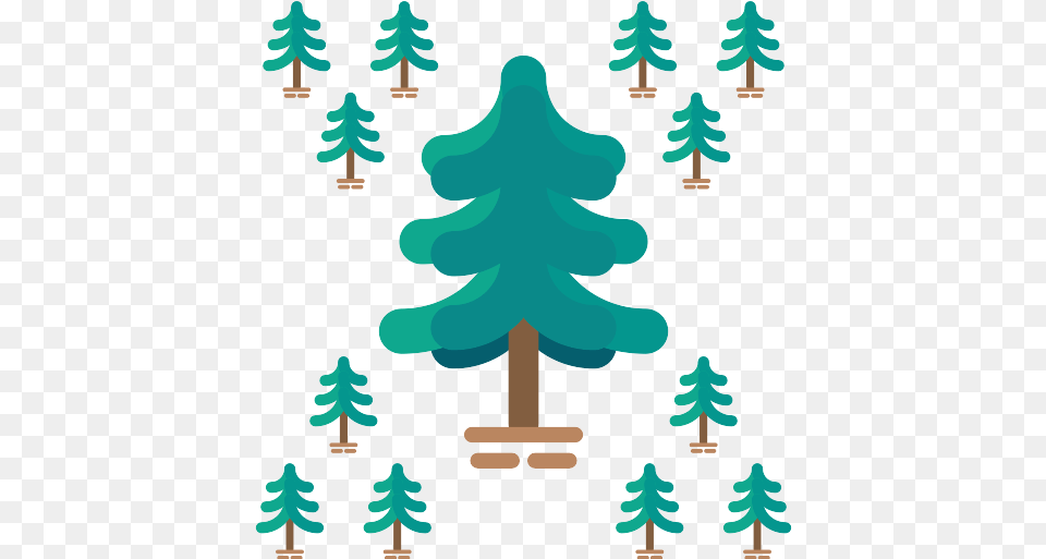 Pine Icon Christmas Tree, Plant, Christmas Decorations, Festival, Person Png