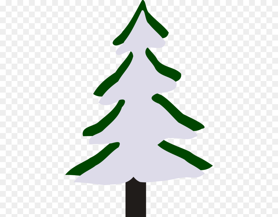 Pine New World Warblers Fir Tree Winter, Christmas, Christmas Decorations, Festival, Person Free Transparent Png