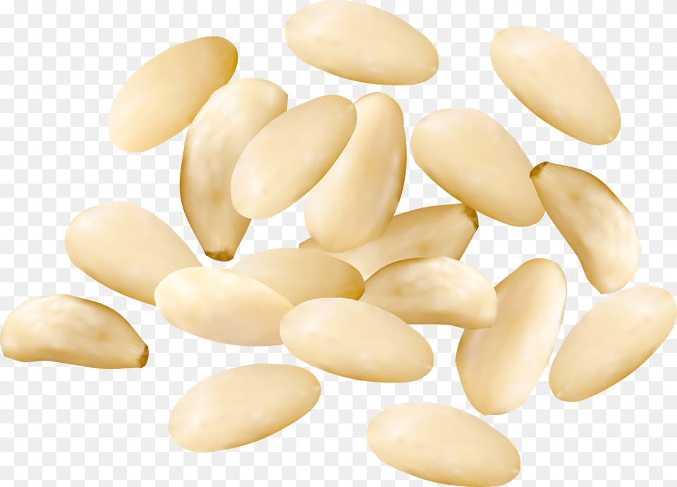 Pine Nuts Free Png