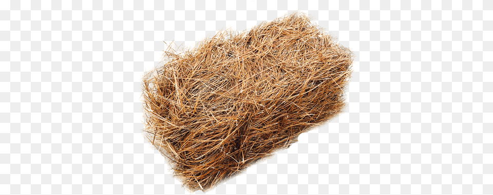 Pine Straw Hay, Countryside, Nature, Outdoors, Mineral Png