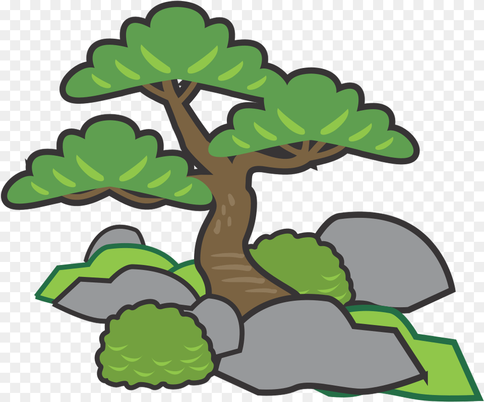 Pine Tree, Plant, Potted Plant, Conifer, Green Png