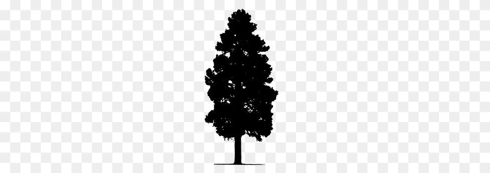 Pine Tree Gray Free Transparent Png
