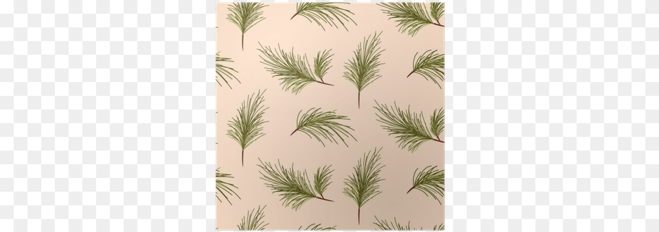Pine Tree Branches On Pale Pink Background Seamless Vector Graphics, Conifer, Plant, Fir, Grass Free Png