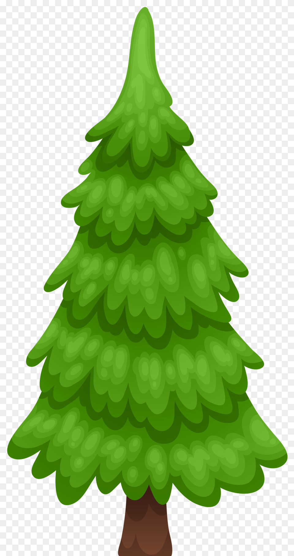 Pine Tree Cartoon Clip Art, Fir, Green, Plant, Conifer Free Png Download