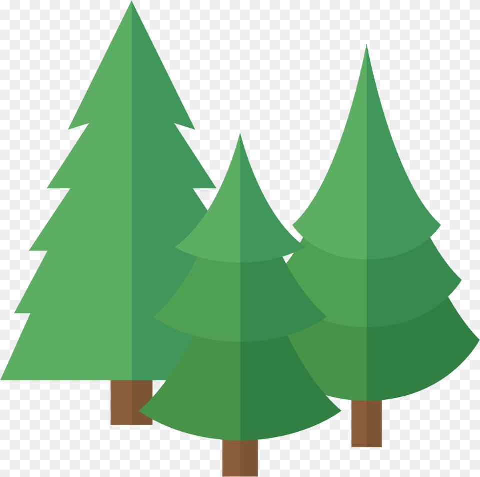 Pine Tree Cartoon Cartoon Pine Trees, Green, Fir, Plant, Leaf Free Transparent Png