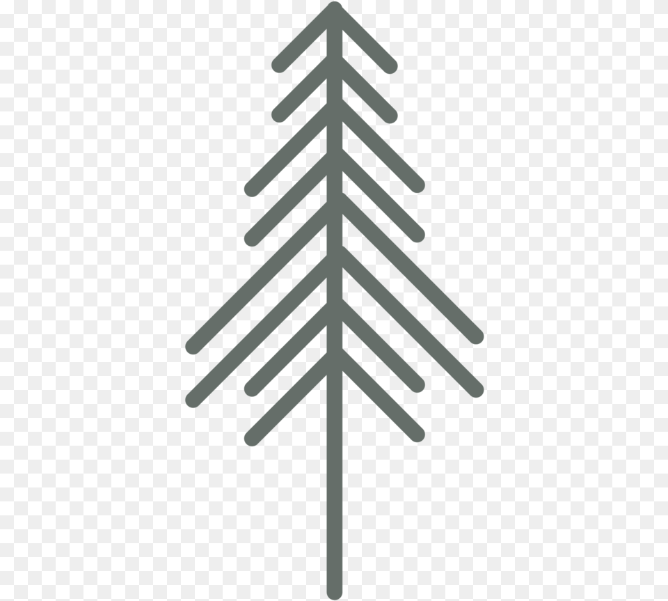 Pine Tree Christmas Tree, Nature, Outdoors, Cable, Power Lines Png Image