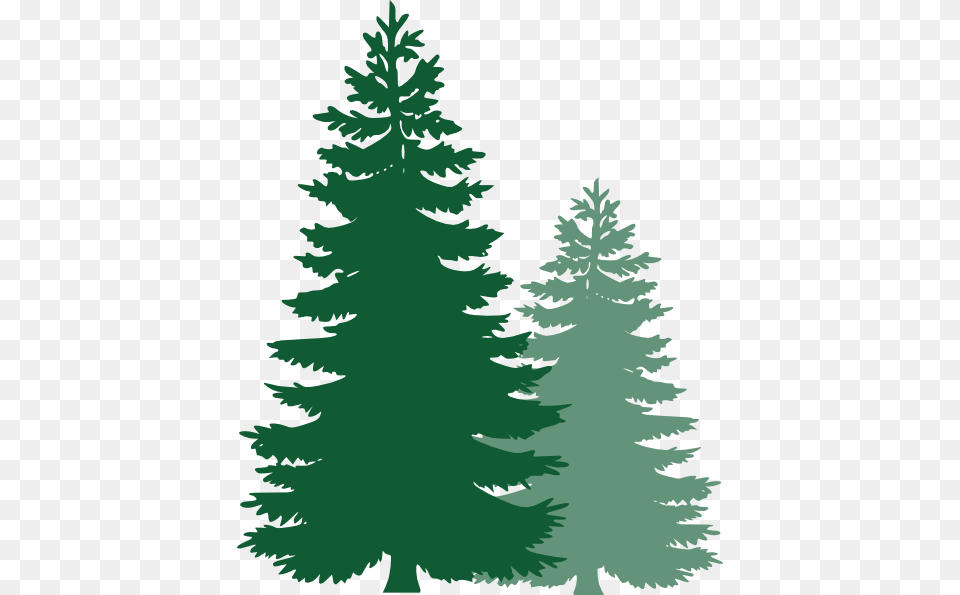 Pine Tree Clip Art, Fir, Plant, Conifer, Person Free Png Download