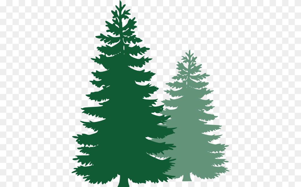 Pine Tree Clip Art, Fir, Plant, Conifer, Person Free Png