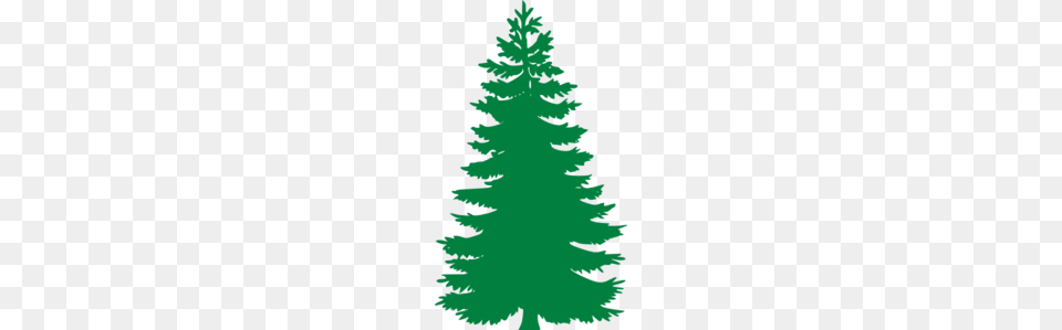 Pine Tree Clip Art, Plant, Fir, Person, Christmas Free Png Download