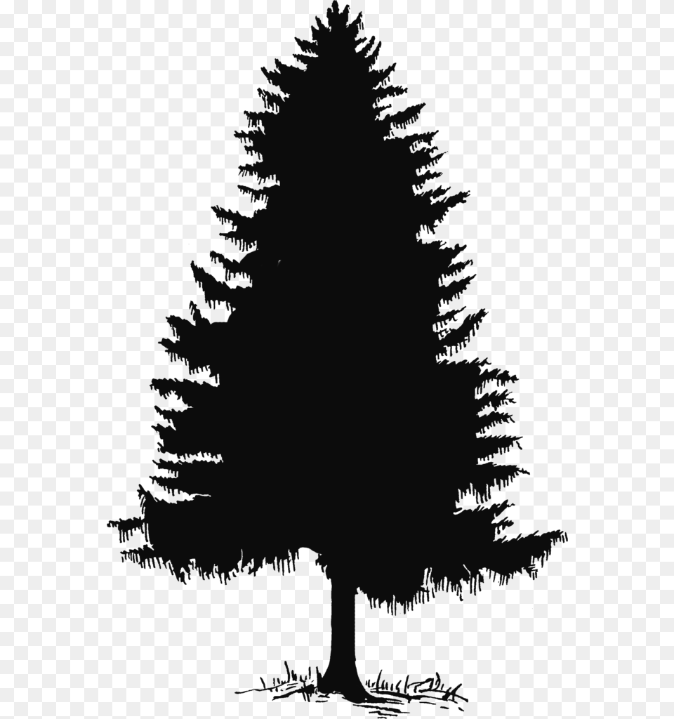 Pine Tree Clip Art Wedding Clipart Pine Tree Silhouette, Plant, Fir Png