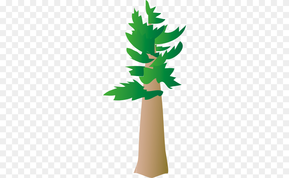 Pine Tree Clipart, Palm Tree, Plant, Potted Plant Png
