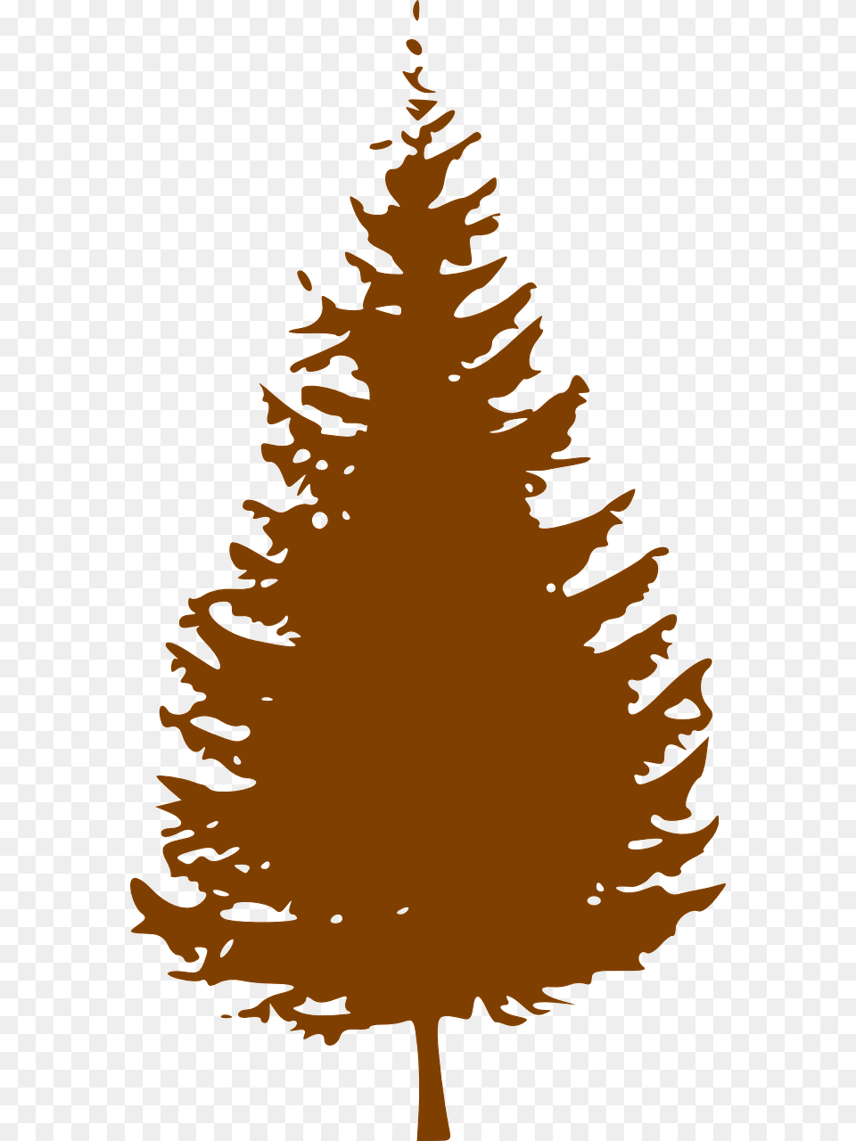 Pine Tree Clipart, Conifer, Plant, Fir, Person Free Transparent Png