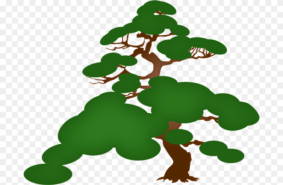 Pine Tree Clipart, Green, Plant, Vegetation, Jungle Free Png