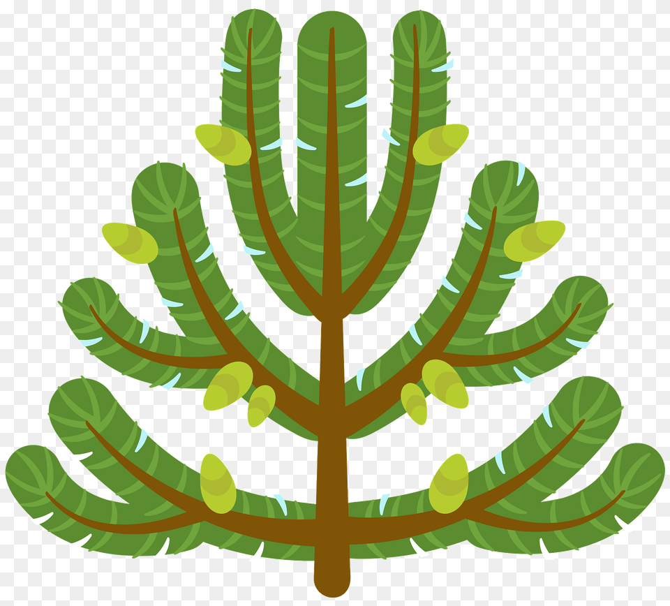 Pine Tree Clipart, Vegetation, Leaf, Moss, Plant Free Transparent Png