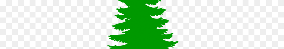Pine Tree Clipart, Fir, Green, Plant, Conifer Free Transparent Png