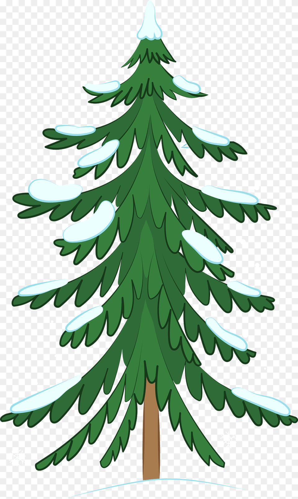 Pine Tree Clipart, Fir, Plant, Conifer Png