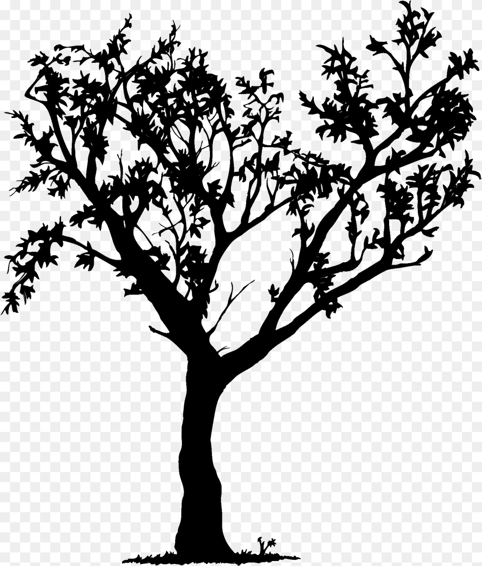 Pine Tree Clipart Black And White Christmas Tree Tree Black White, Nature, Night, Outdoors, Silhouette Free Transparent Png