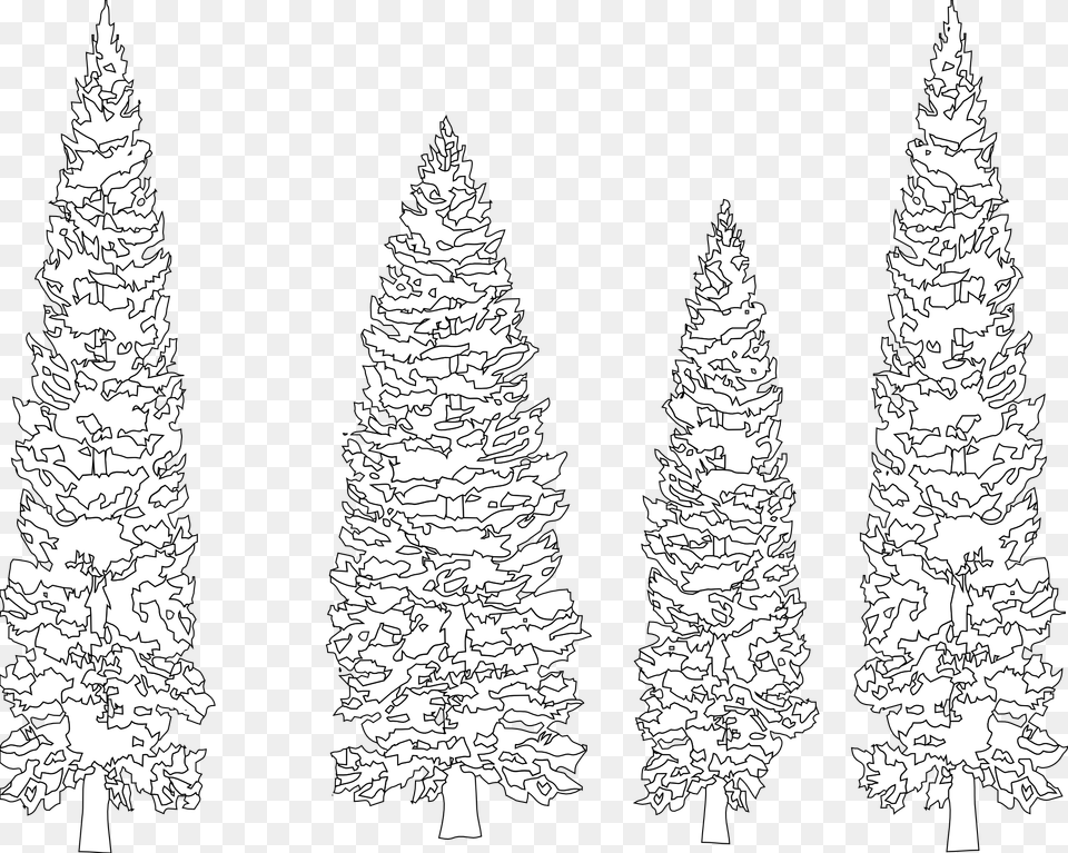 Pine Tree Clipart Coloring White Pine Tree Vector, Fir, Plant, Art Png Image