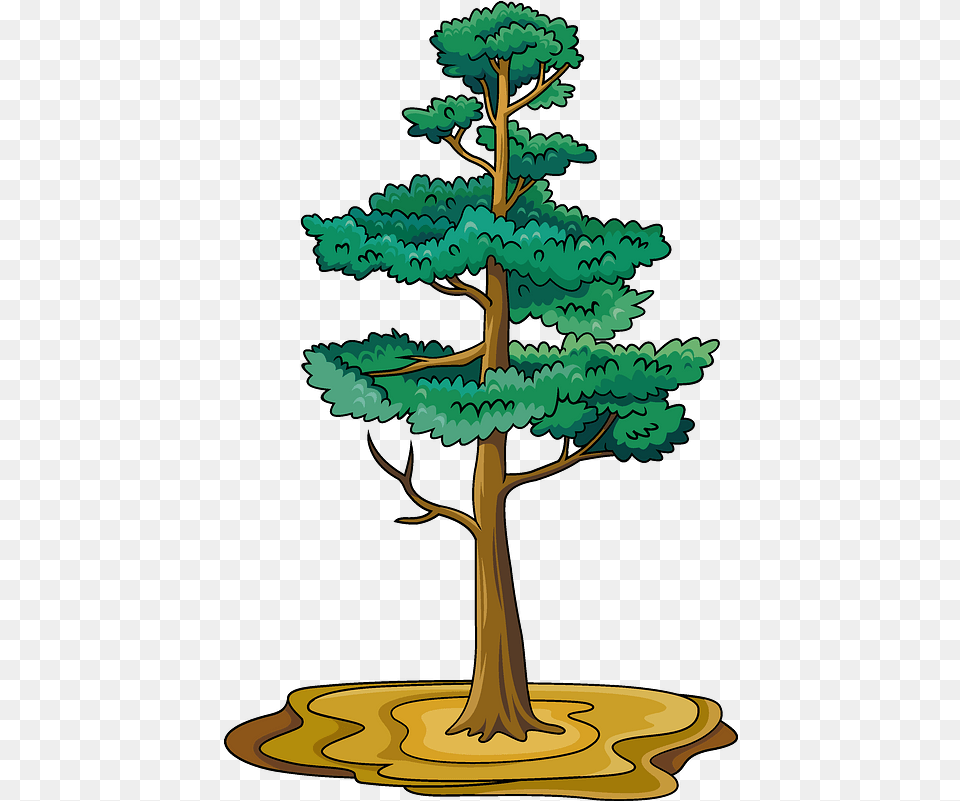 Pine Tree Clipart Download Transparent Creazilla Pine Tree Clipart, Conifer, Plant, Vegetation Free Png