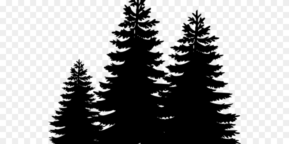 Pine Tree Clipart Loblolly Pine Clipart Pine Trees Silhouette, Gray Free Png