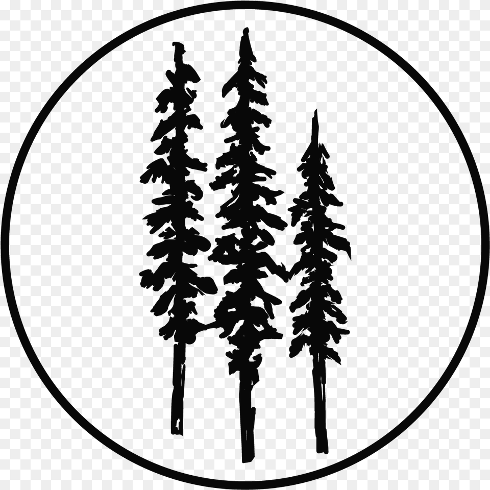 Pine Tree Clipart River Tree Forest Tree Silhouette Clipart, Plant, Fir Png Image