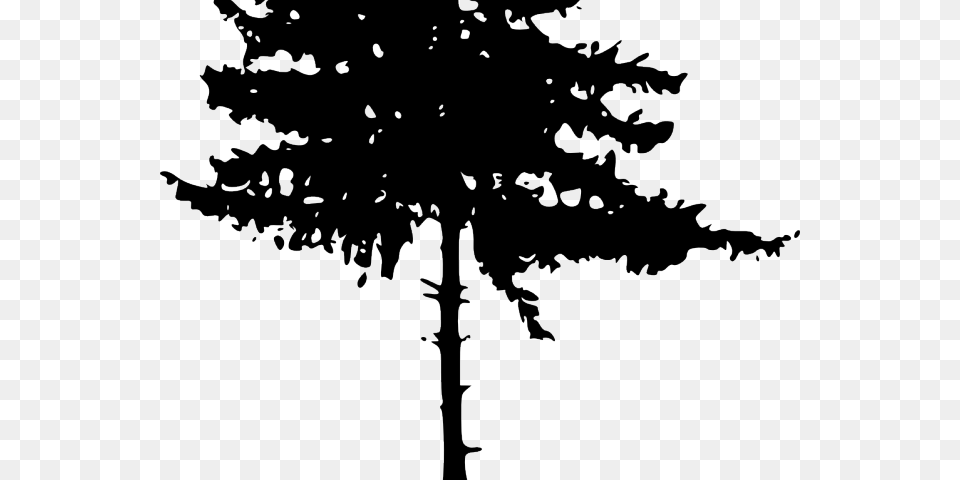 Pine Tree Clipart Transparent Background Pine Tree Silhouette, Plant, Blackboard, Conifer, Fir Png Image