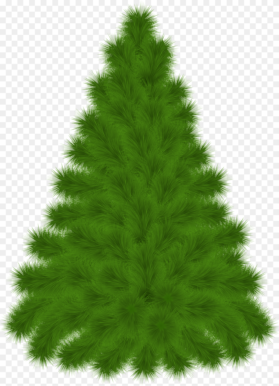 Pine Tree Clipart Transparent Pine Png