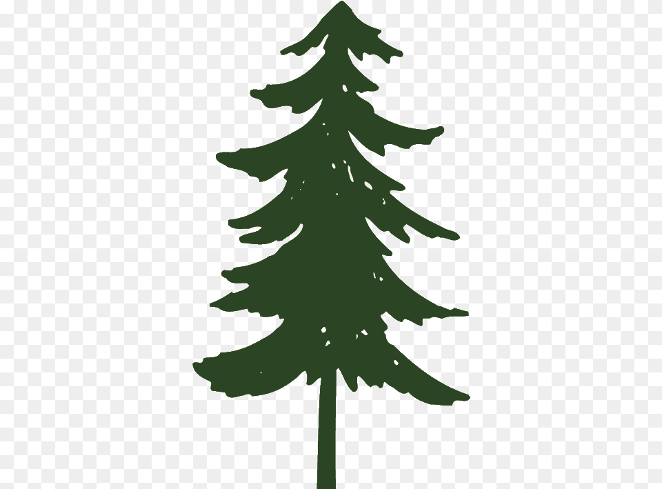 Pine Tree Clipart Transparent Pine Tree Images Clip Art, Fir, Leaf, Plant, Conifer Png Image
