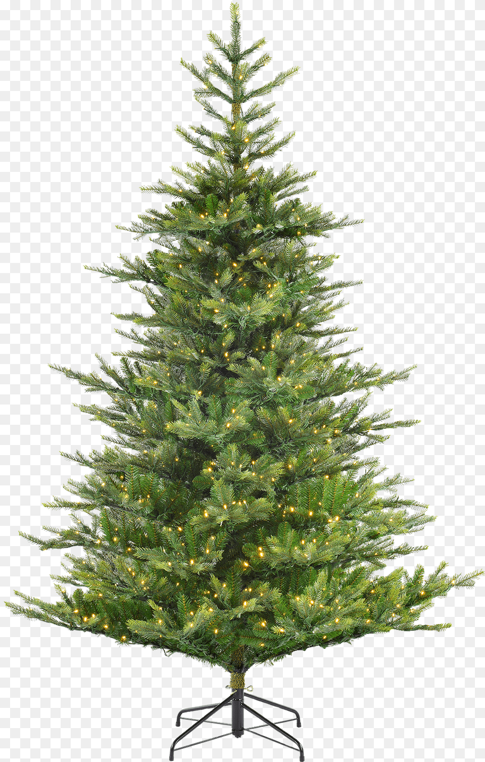Pine Tree For Christmas, Plant, Fir, Christmas Decorations, Festival Free Png