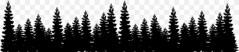 Pine Tree Forest Silhouette, Gray Free Png
