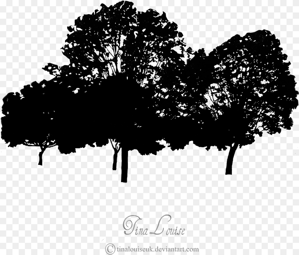 Pine Tree Line Google Search With O Tree Line Silhouette Clipart, Text Png