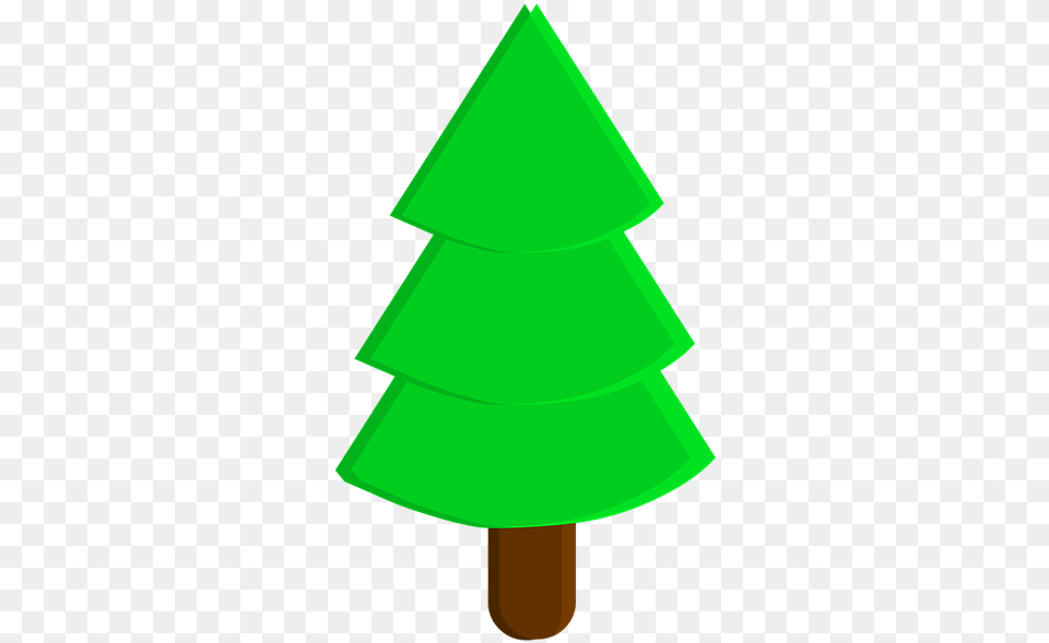 Pine Tree Pine Tree Trees Green Green Pine Tree Christmas Tree Png
