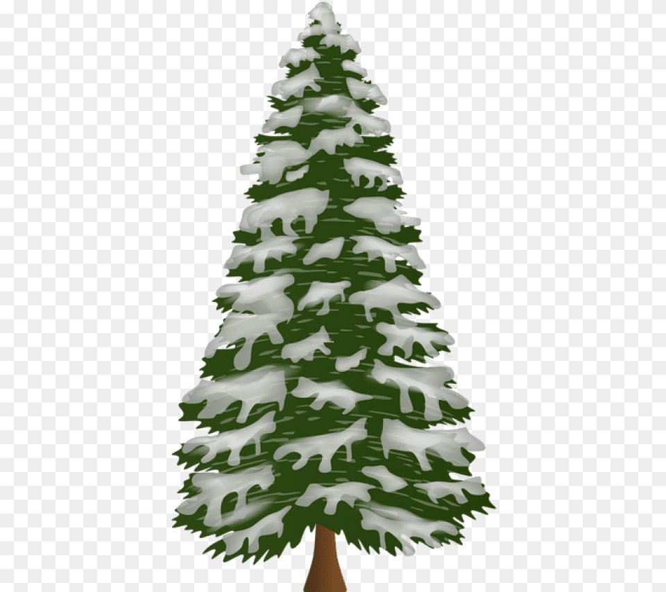 Pine Tree Portable Network Graphics, Fir, Plant, Wedding, Person Png