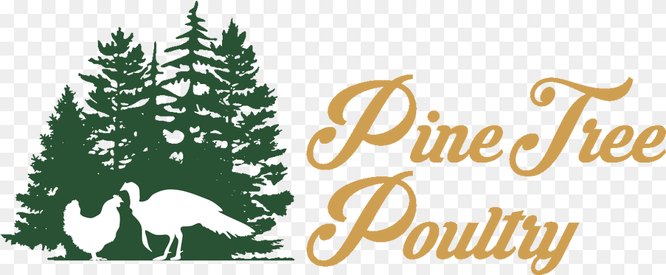 Pine Tree Poultry Pine Tree Farm Logo, Plant, Animal, Bird, Chicken Png
