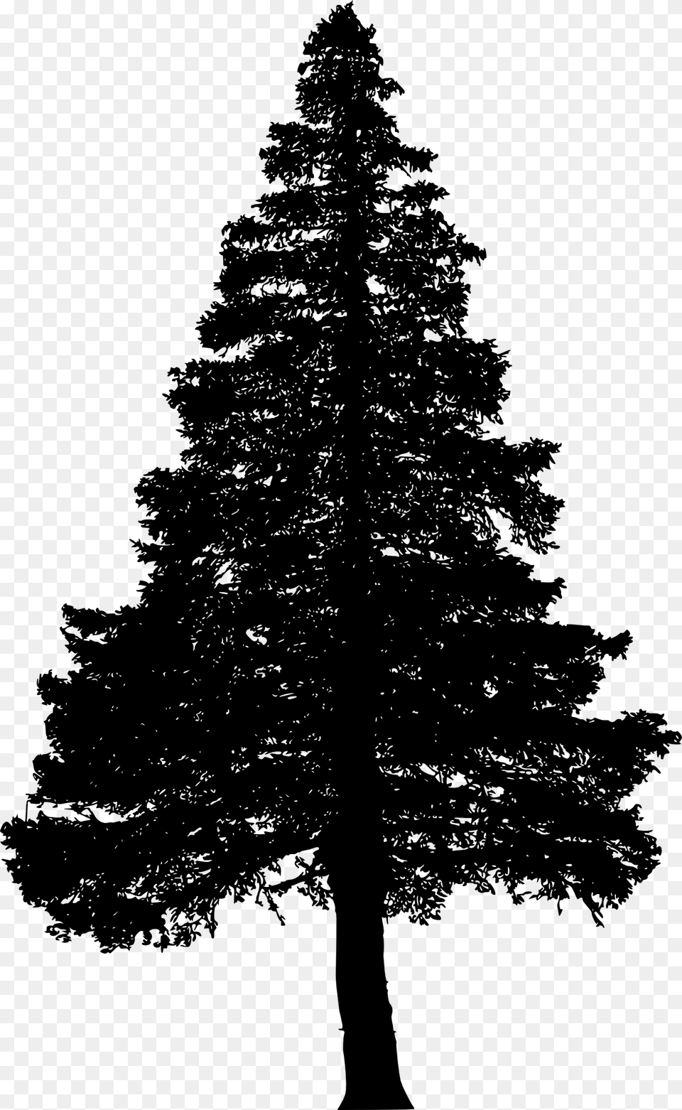 Pine Tree Silhouette, Fir, Plant, Conifer Free Png Download