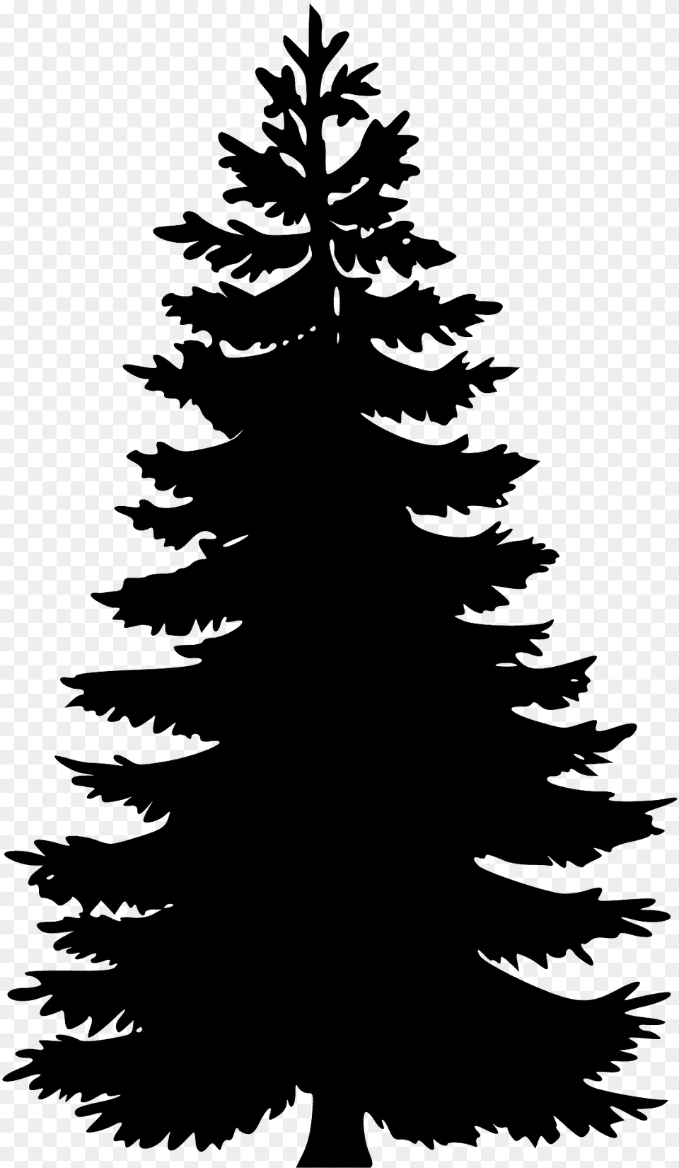 Pine Tree Silhouette, Plant, Fir, Fish, Sea Life Png