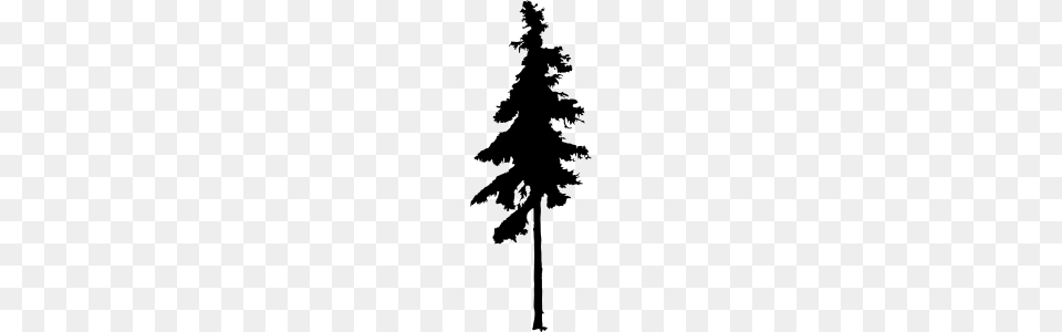 Pine Tree Silhouette, Gray Free Png