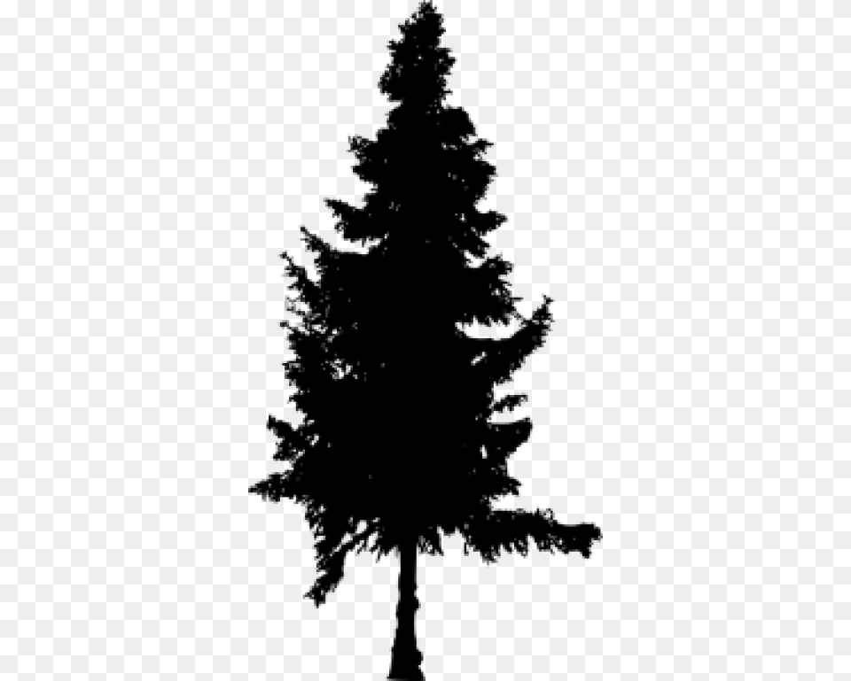 Pine Tree Silhouette, Gray Png Image