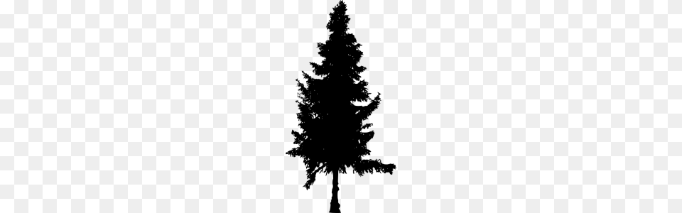 Pine Tree Silhouette, Gray Png Image