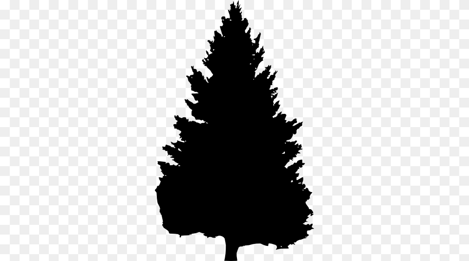 Pine Tree Silhouette Download Christmas Tree, Plant, Fir, Stencil, Wedding Png Image
